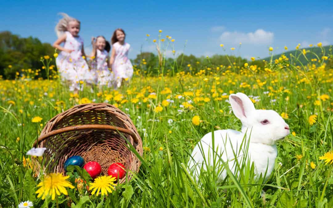 Wielkanoc w Górach 2023 – rodzinne Święta w Karłowie